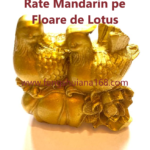 Statueta Feng Shui - Rate Mandarin pe Floare de Lotus